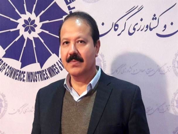 سیل کشاورزی استان گلستان را به طور کامل از بین برده/ شهرکهای صنعتی آق قلا دچار آب گرفتگی شدند/ سیل گلستان میزان تولید گندم در کشور را تحت تاثیر قرار می‌دهد