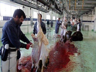 افزایش 15 درصدی دام سبک کشور در سال/ سوءمدیریت را با قاچاق ماست‌مالی نکنید