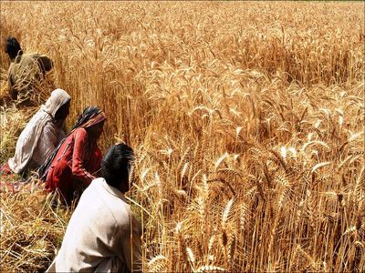 صدرنشینی اقلام کشاورزی در واردات + جدول