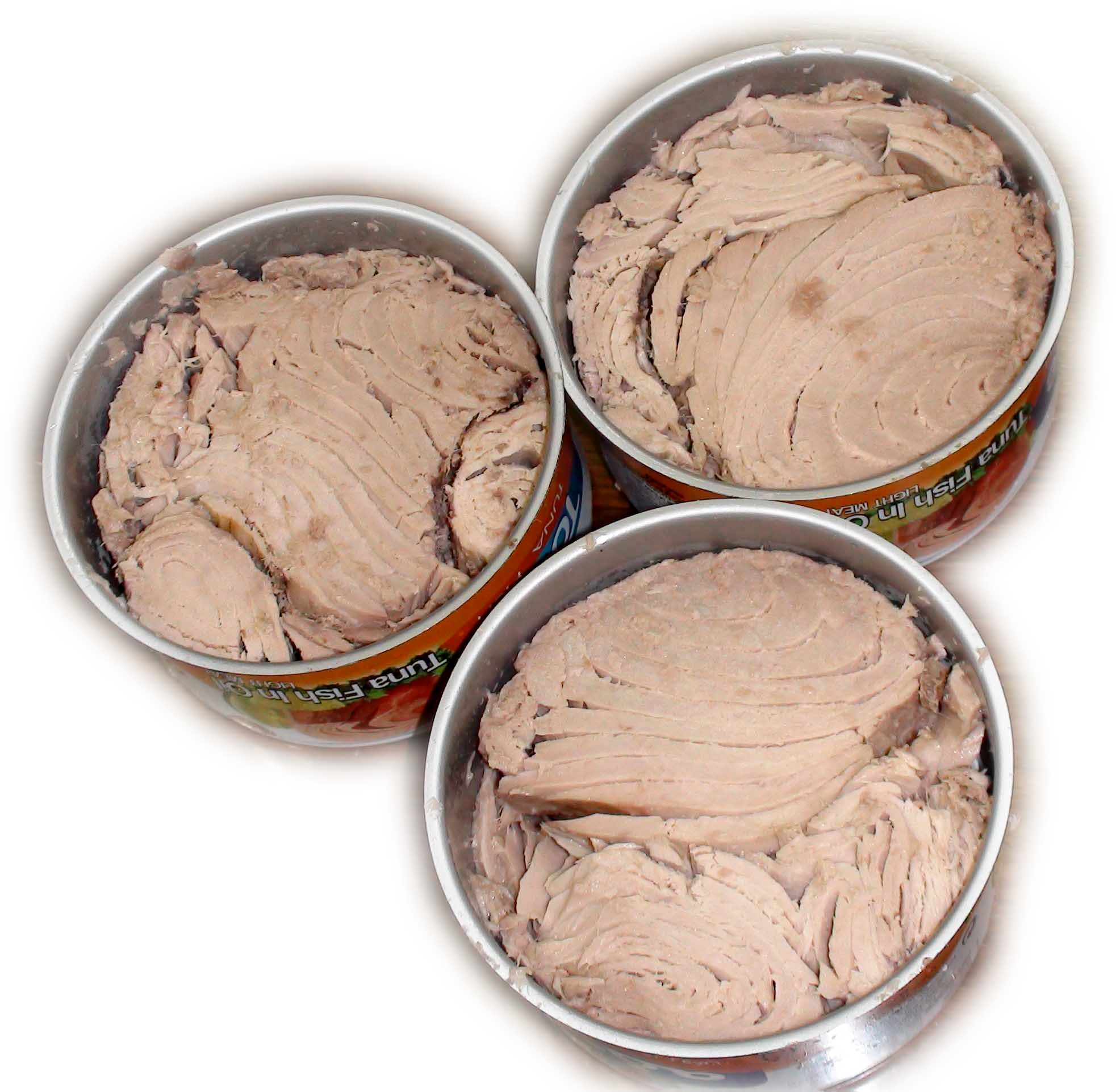 صادرات قیمت تن ماهی را  افزایش داد!