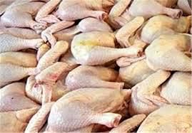 قیمت مصوب مرغ درجا زد