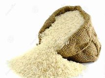 یک گرم برنج هم تا پایان سال نباید وارد شود/ اینکه مردم پول خرید برنج ایرانی را ندارند، دلیلی برای واردات نیست