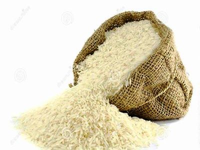 یک گرم برنج هم تا پایان سال نباید وارد شود/ اینکه مردم پول خرید برنج ایرانی را ندارند، دلیلی برای واردات نیست
