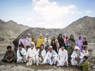 سیستان و بلوچستان هفتمین دارنده سطح تولید محصولات باغی کشور است