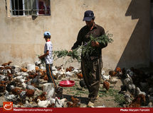 بانک‌ها پول روستاییان را نمی‌دهند!