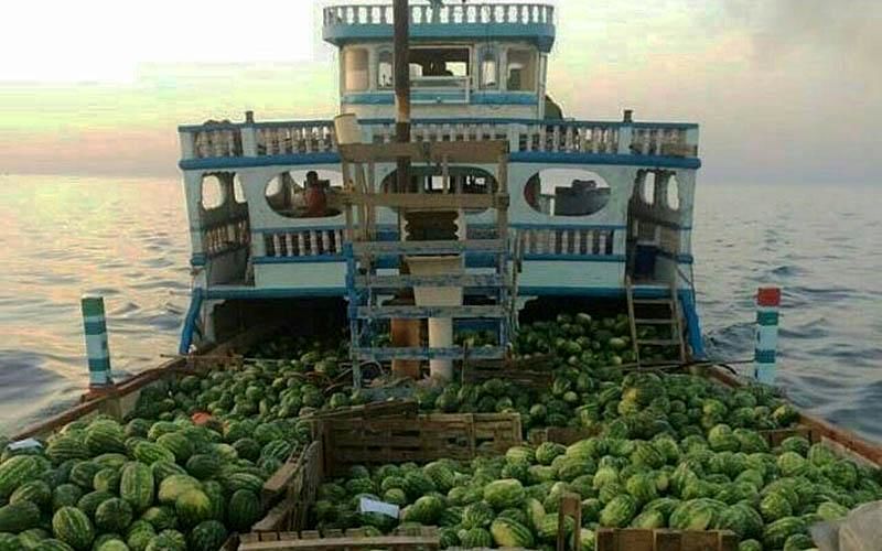 صادرات ۲۱۸ میلیارد لیتر آب مجازی در سال ۹۷ ! + جدول