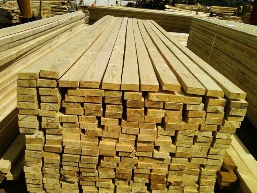 «قاچاق چوب» با خرید قاطر ۱۵ میلیون تومانی!