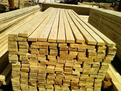 «قاچاق چوب» با خرید قاطر ۱۵ میلیون تومانی!