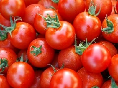 آغاز کاهش نرخ گوجه فرنگی در بازار