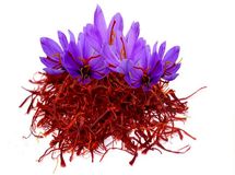 اجرای طرح تولید مبتنی بر قرارداد برای 10 هزار کشاورز