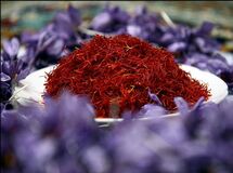 صادرات چمدانی زعفران از کشور