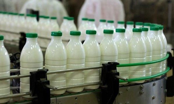 واکنش وزارت جهاد به وجود سم در شیر/به شدت تکذیب می شود