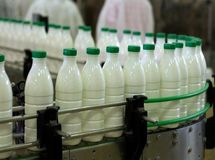 واکنش وزارت جهاد به وجود سم در شیر/به شدت تکذیب می شود