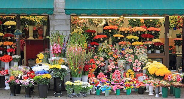 کاهش ۶۰ تا ۷۰ درصدی قیمت‌ گل در آستانه روز پدر
