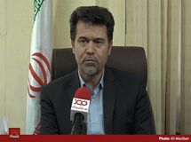چرا مرغداران مجبور به معدوم سازی جوجه‌ها شدند؟
