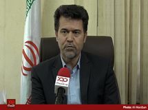 چرا مرغداران مجبور به معدوم سازی جوجه‌ها شدند؟