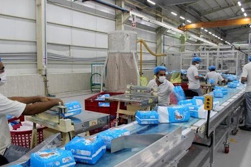 کرونا سرانه مصرف محصولات سلولزی را ۴۰ درصد افزایش داد