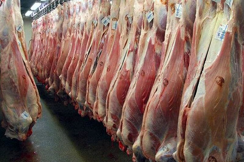 واردات ۷۵۰ میلیون دلاری گوشت قرمز در سال ۱۳۹۸/ دولت ۳۳ درصد بازار گوشت قرمز ایران را تقدیم خارجیها کرد