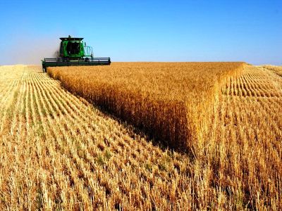 خرید گندم مازاد بر نیاز کشاورزان از ۱.۱ میلیون تن گذشت