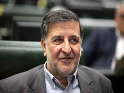 محدودیت در سفرهای خارجی، بازار دلار را آرام کرده است