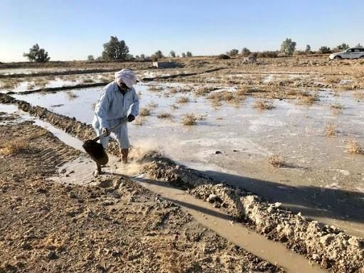 استان سیستانوبلوچستان در تولید محصولات کشاورزی رتبه ۱۴ را دارد