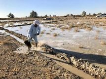 استان سیستان‌وبلوچستان در تولید محصولات کشاورزی رتبه ۱۴ را دارد