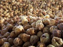  ارز آوری ۴۷ میلیون دلاری صادرات انجیر ایران