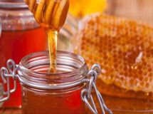 صادرات عسل به صفر رسید/ سیاست گذاری‌های وزارت صمت در خدمت واردات است