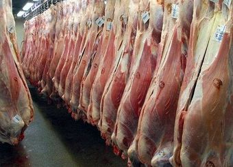  تغییری در روند توزیع نهاده‌های دامی ایجاد نشود، ۴ ماه دیگر با مشکل تامین گوشت مواجه می شویم