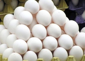 افزایش قیمت تخم مرغ به هیچ وجه قابل قبول نیست