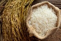 برنج پاکستانی، صدرنشین افزایش قیمت در اردیبهشت
