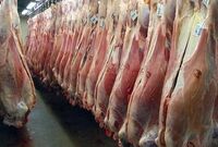  دلالان گوشت قرمز را ۲۰ تا ۲۵ درصد بالاتر از قیمت واقعی به بازار عرضه می‌کنند/احتمال ورشکستگی دامداران زیاد است