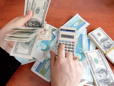  بانک مرکزی می‌تواسنت با تزریق ۳۰۰ هزار دلار بازار ارز را مدیریت کند
