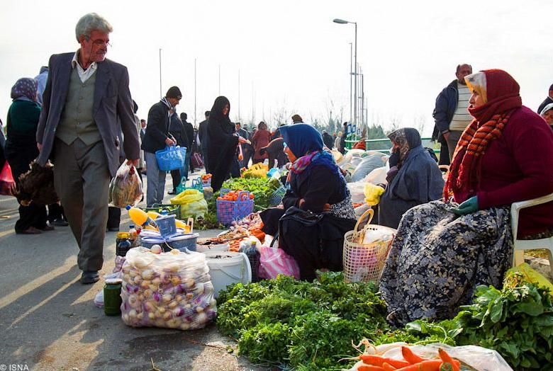 درآمد بیش از ۲ میلیون روستانشین کشور ماهانه کمتر از ۵۰۰ هزار تومان است