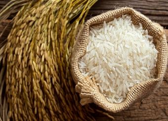 حذف ارز ۴۲۰۰ تومانی و کاهش واردات دلیل اصلی افزایش ۸۵ درصدی قیمت برنج خارجی نسبت به پارسال