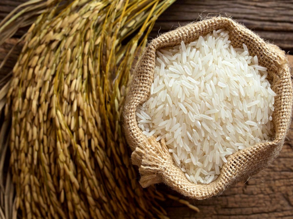 حذف ارز ۴۲۰۰ تومانی و کاهش واردات دلیل اصلی افزایش ۸۵ درصدی قیمت برنج خارجی نسبت به پارسال