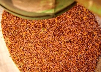  کاهش ۳۱ درصدی واردات نهاده‌های دامی در ۴ ماهه اول سال