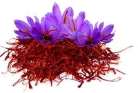 تلاش آمریکا برای کنار زدن ایران از بازار زعفران