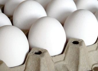 دلیل بهم ریختگی بازار بی‌عرضگی و سوء مدیریت دولت است نه صادرات ناچیز تخم مرغ!
