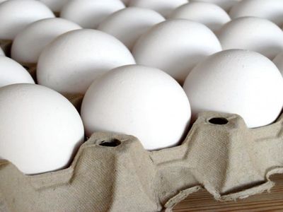  دلیل بهم ریختگی بازار بی‌عرضگی و سوء مدیریت دولت است نه صادرات ناچیز تخم مرغ!