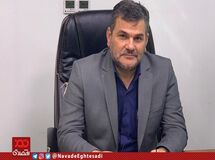 شایعه جوجه کشی با گاز واقعیت ندارد/ در فروردین ماه چند واحد تولیدی برای جلب توجه جوجه‌های خودشان را معدوم کردند