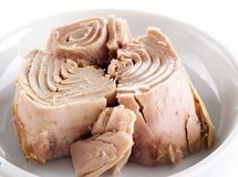 افزایش ۴۰ تا ۷۰ درصدی قیمت تن ماهی در ۶ ماه اخیر