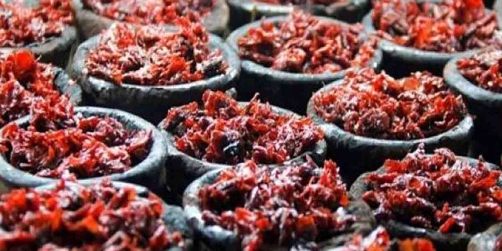 واردات تنباکوی معسل بیش از ۲ برابر شد