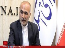 انتقال قیمت‌گذاری خودرو از شورای رقابت به سازمان حمایت پاک کردن صورت مسئله است