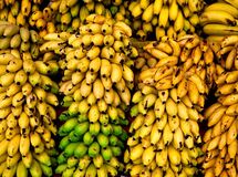 فرش قرمز وزارت صمت و گمرک برای واردات ۴۰ واگن موز