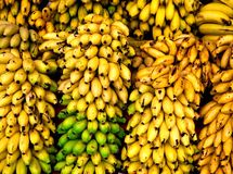 فرش قرمز وزارت صمت و گمرک برای واردات ۴۰ واگن موز