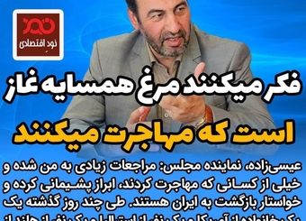 فکر می‌کنند همسایه غاز است که مهاجرت می‌کنند