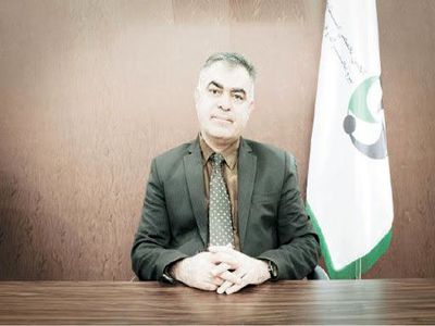  راه اندازی خطوط جدید برای قطعه سازان به صرفه نیست/ تنوع خودرو در کشور زیاد و تیراژ تولید پایین است