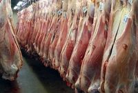  ۹۰ درصد قاچاق دام کنترل شد/ واردات گوشت صرفه اقتصادی ندارد 