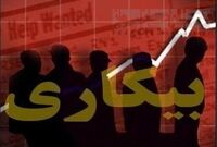 کاهش چشمگیر مصرف گوشت و برنج بین ۷۰ درصد خانوارهای بیکارشده
